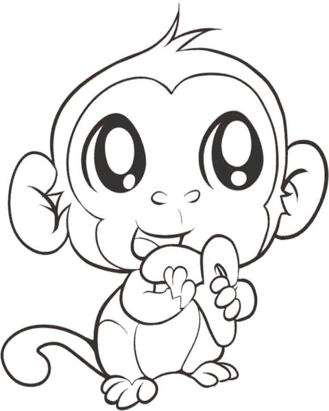 Маленькая обезьянка раскраска