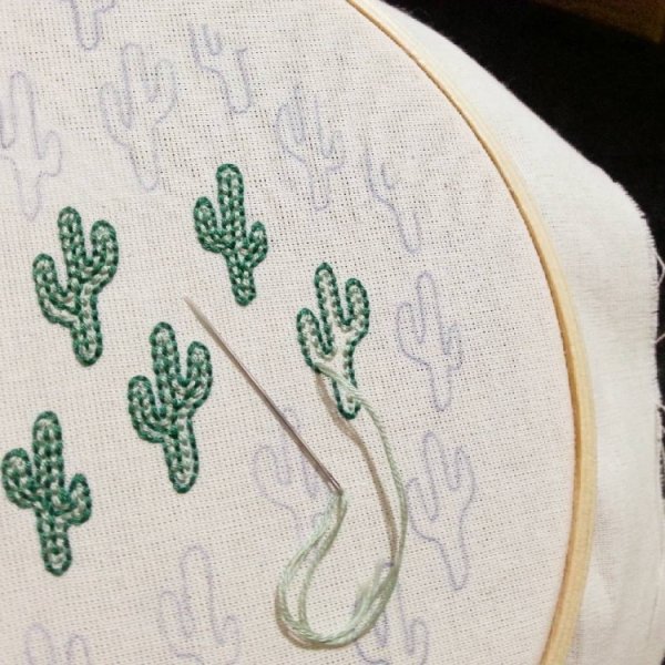 Вышивка мулине на ткани