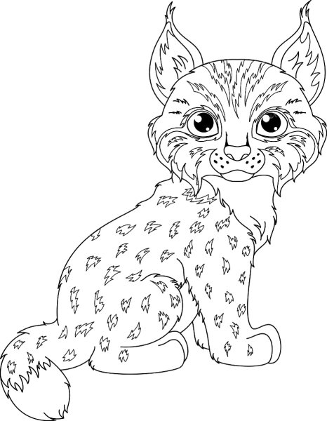 Рысь раскраска для детей