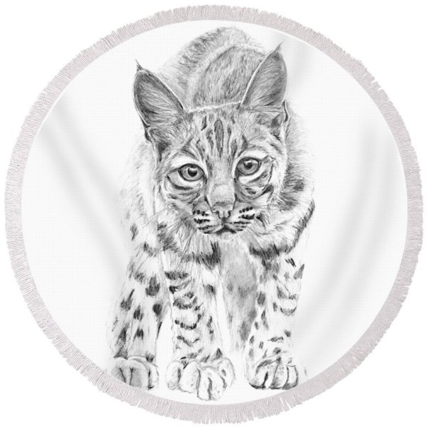 Рысь для дошкольников