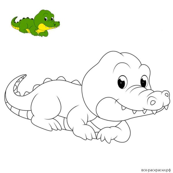 Крокодил раскраска для малышей