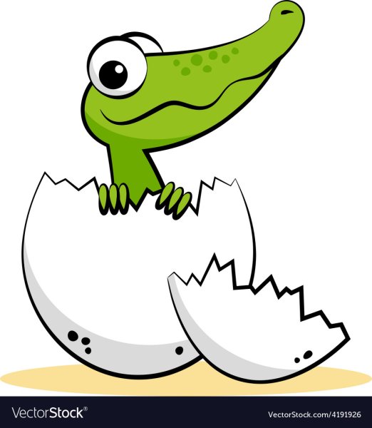 Крокодил схематично