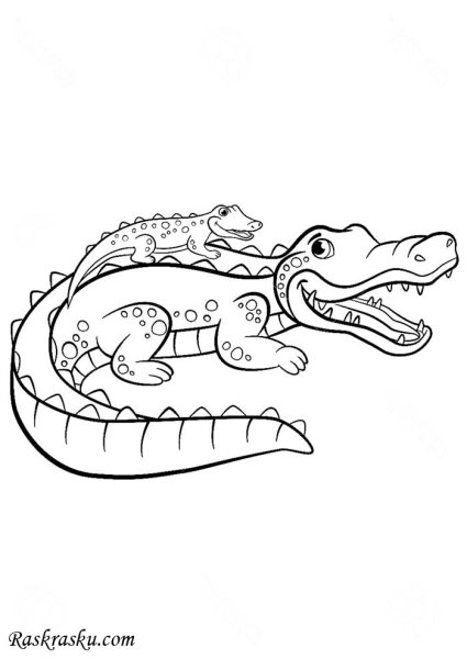 Крокодил трафарет для детей