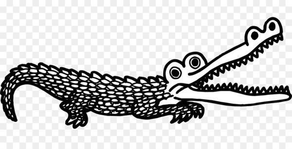 Пасть крокодила карандашом