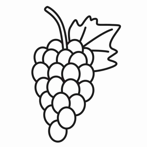 Виноград раскраска