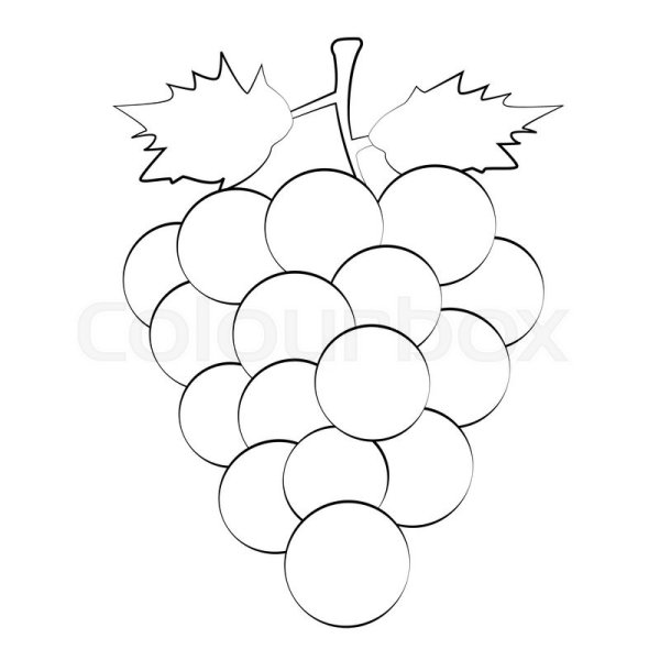 Трафарет винограда для лепки