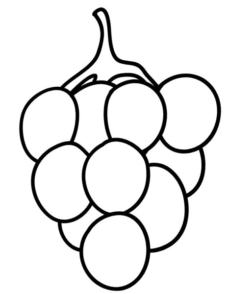 Виноград раскраска
