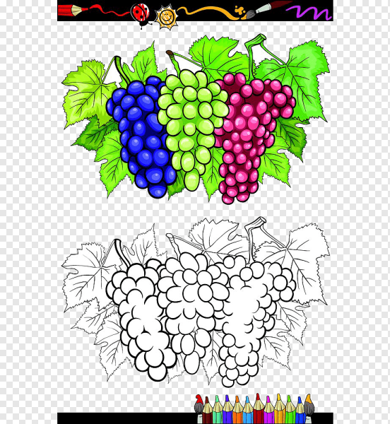 Разрисовываем виноград