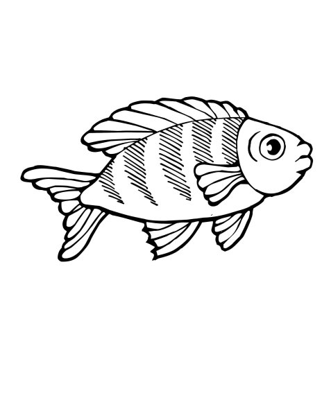 Рыба раскраска