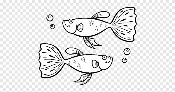 Рыбка гуппи раскраска