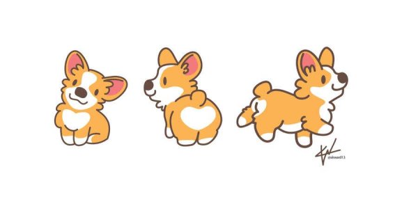 Корги вид сзади рисунок