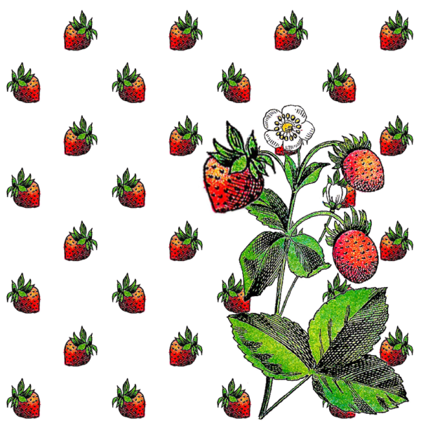 Клубника рисунок маленький