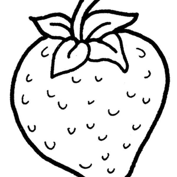 Клубника рисунок карандашом