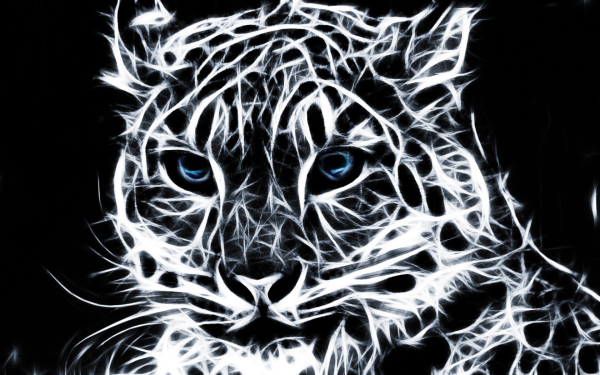 Чёрные обои с надписью