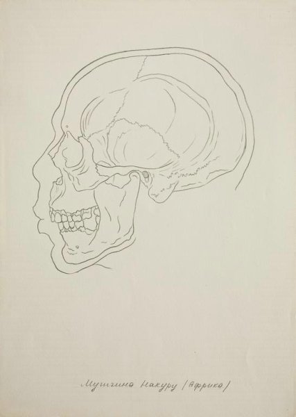 Рисунки на ватмане