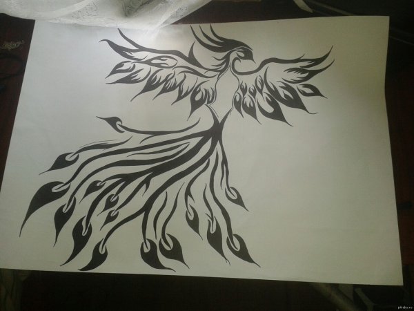 Рисунки фломастерами