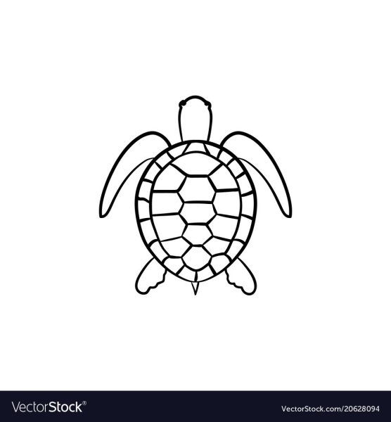 Небольшой рисунок черепахи