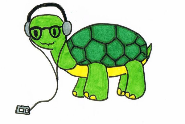 Фон с черепашками