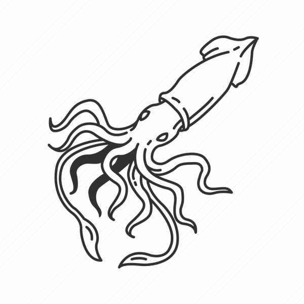 Кальмар Векторная Графика