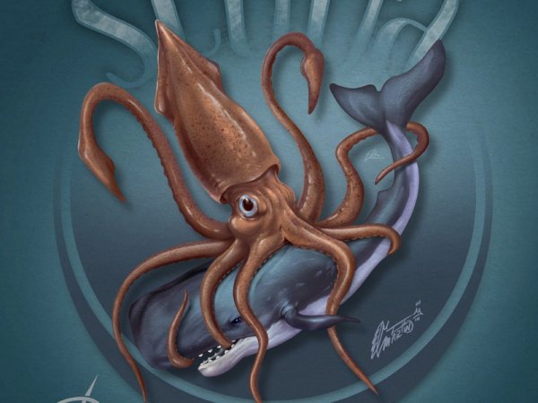 2002 Гигантский кальмар Тасмания