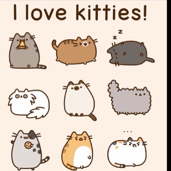 Котики мультяшные