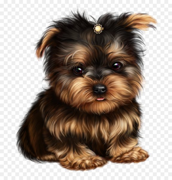 Бершидский терьер