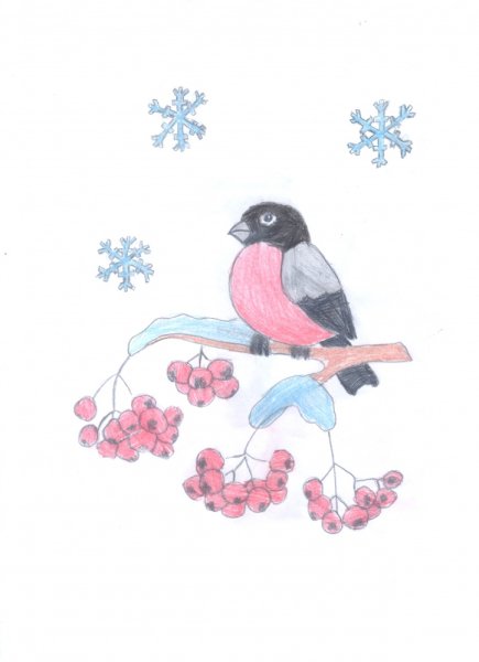 Детские рисунки Снегири
