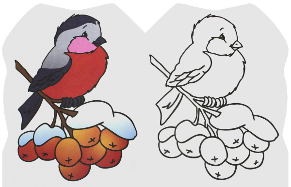 Снегирь раскраска