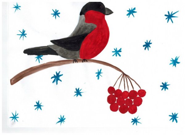 Рисование Снегирь на ветке
