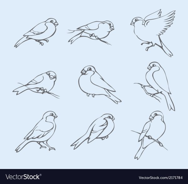 Снегирь на белом фоне для детей