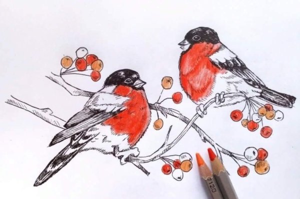 Зимние рисунки