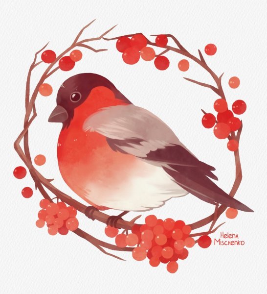 Снегирь раскраска