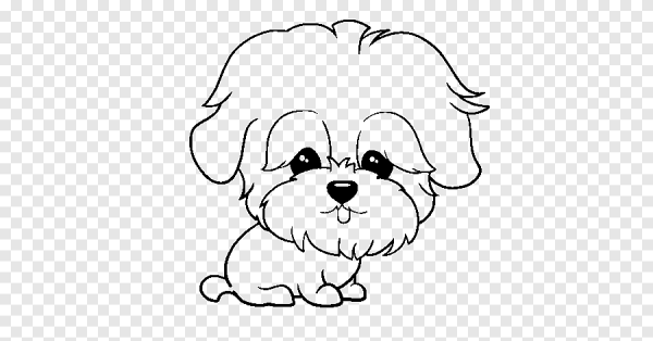 Раскраска щенок ши тцу