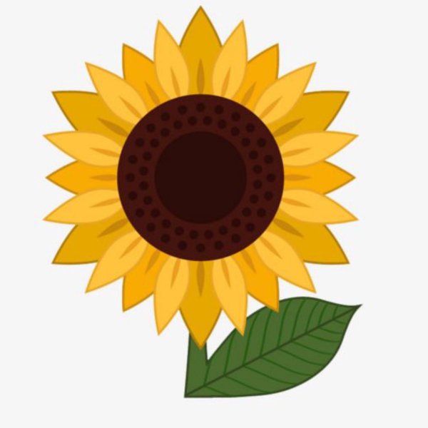 Подсолнухи мультяшные