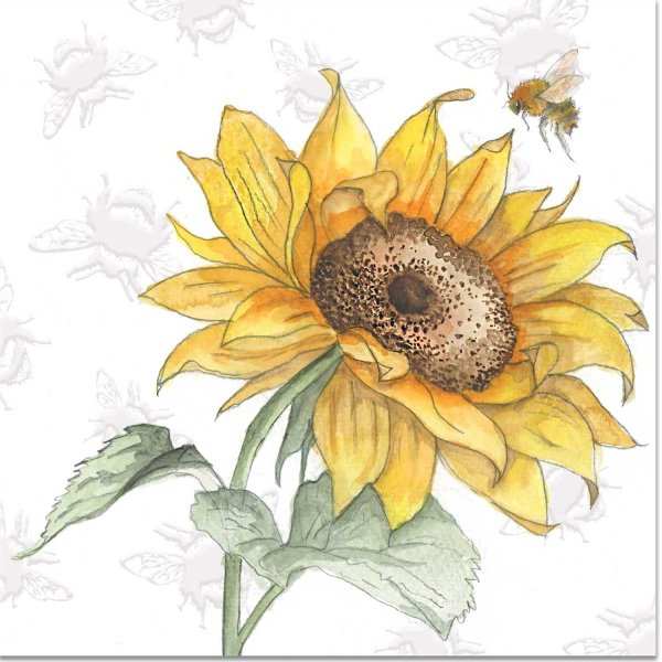 Подсолнухи картинки нарисованные