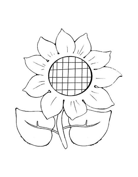 Подсолнух раскраска для детей