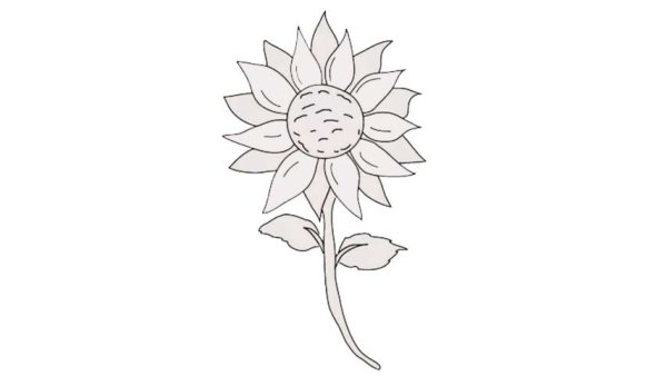 Подсолнух рисунок легкий