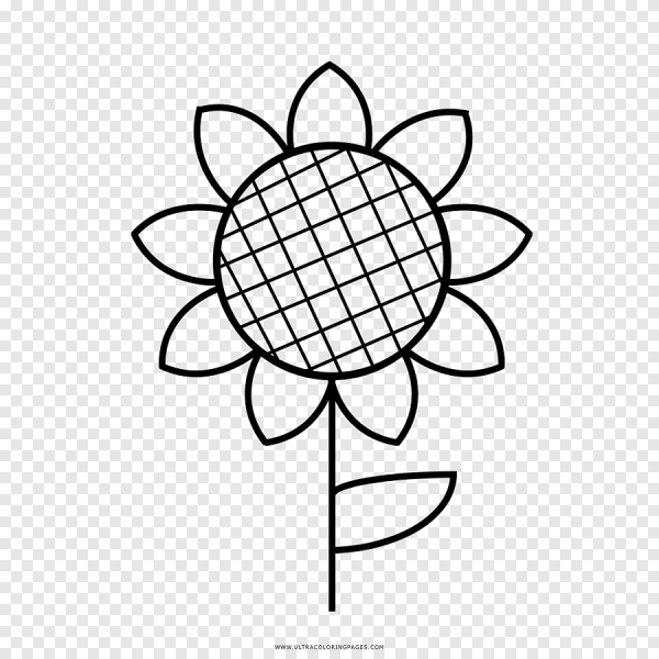 Подсолнух чертеж