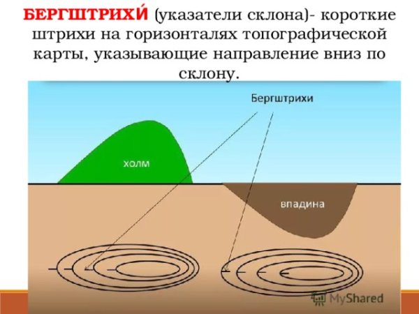 Горизонтали абсолютная и Относительная высота