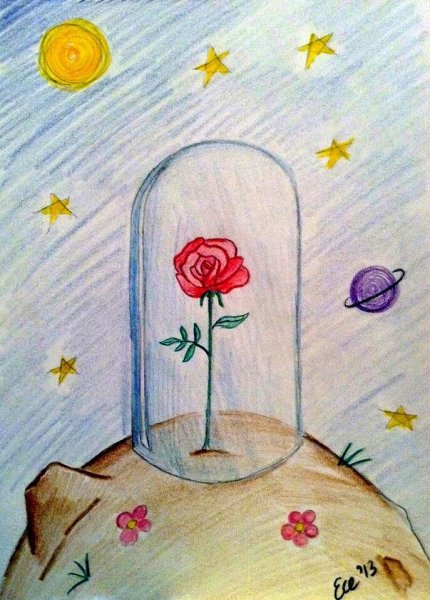 Маленький принц иллюстрации роза