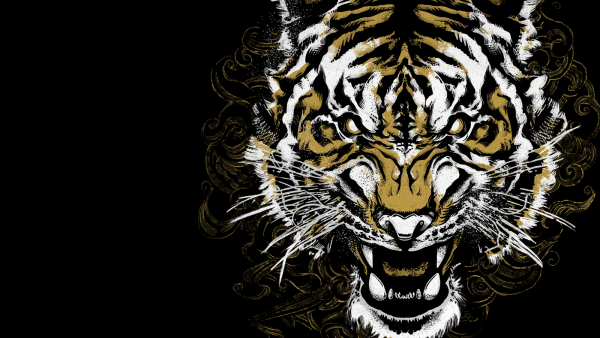 Злобный оскал тигра