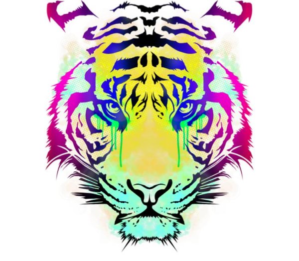 Тигр абстракция