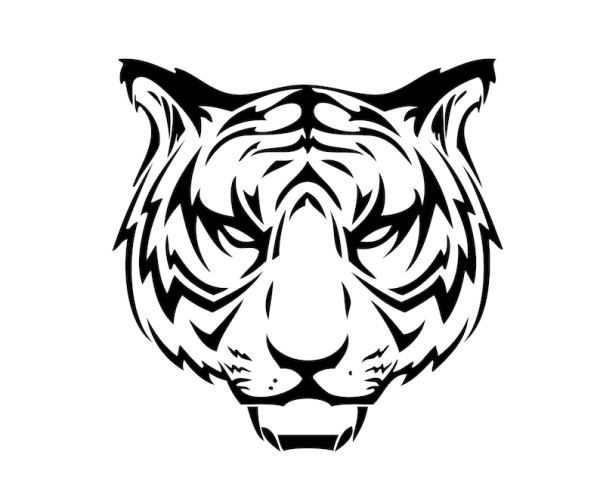 Красивые разноцветные животные