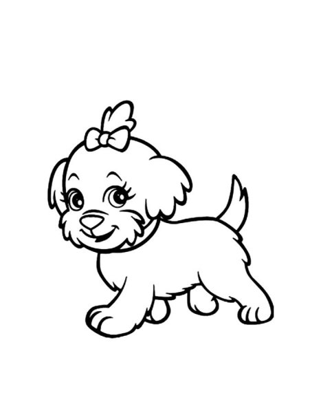 Миленькая собачка раскраска