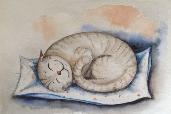 Спящий кот рисунок