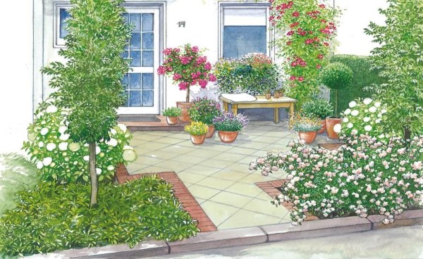 Вертикальное Озеленение в саду рисунок