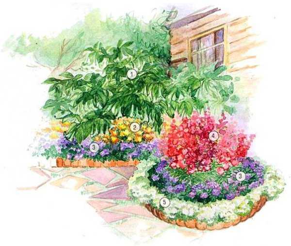 Скетчи миксбордеров