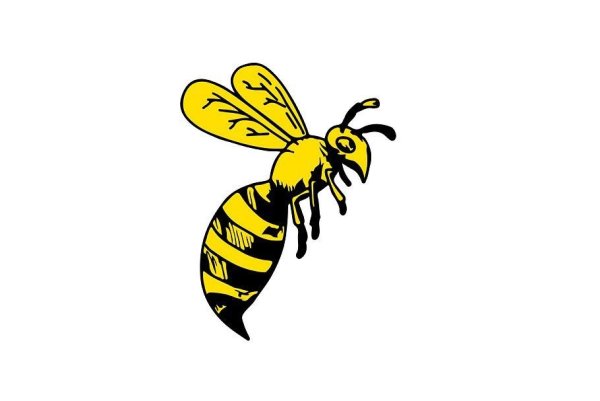 Оса рисунок