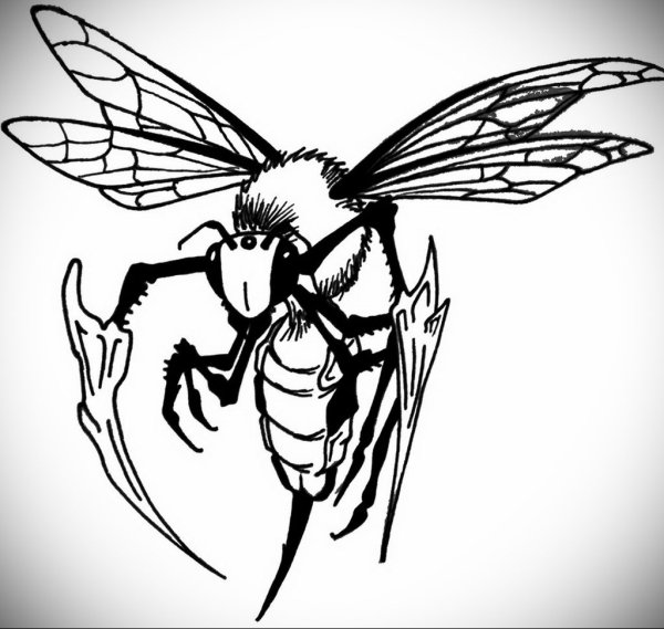 Оса карандашом