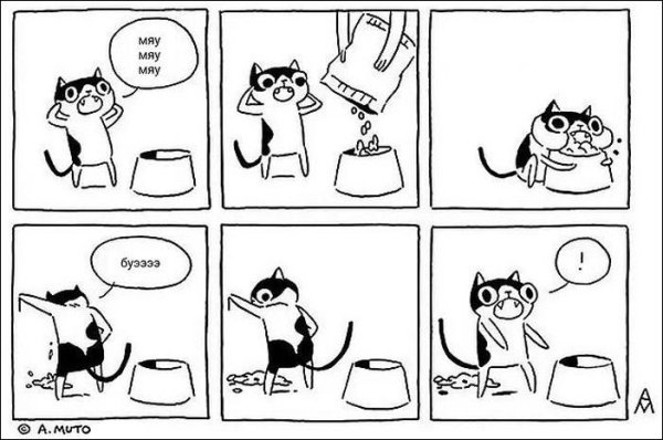 Комикс про кота